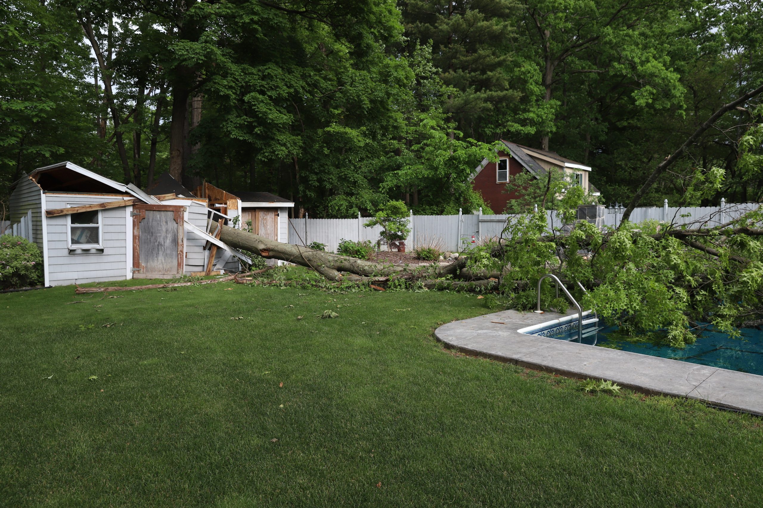 Large oak tree fell on a pool and building during a storm, illustrating the need for professional storm debris cleanup services.